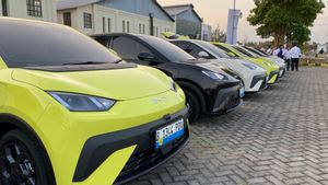 City Car EV Atto 1 Diminati Konsumen Fleet, Begini Kata BYD