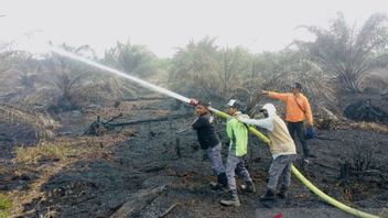 Lahan Sawit Seluas 7 Hektare Milik Warga di Nagan Raya Aceh Terbakar, 30 Personel Dikerahkan