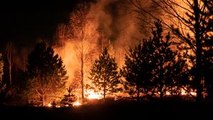 汤普森加州森林地区大火,13000名居民撤离