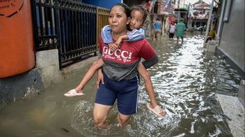 Air Belum Surut! Dua RT di Pluit Masih Terendam Banjir Rob Pagi Ini
