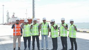 Dorong Ekonomi Daerah, Pemerintah Pastikan Integrasi Kawasan Industri dan Rantai Logistik Optimal