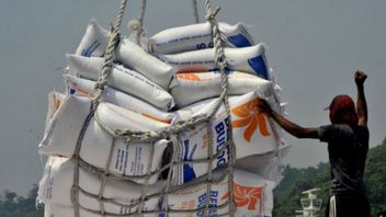 Les Pèlerins Ciblés Et L’Umrah En 2022, L’Indonésie Commence à Exporter Du Riz Vers L’Arabie Saoudite