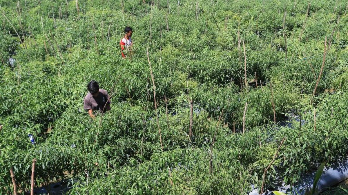 世界的な食糧危機を先取りして、農業省:多様化がなければ生産の維持は不十分