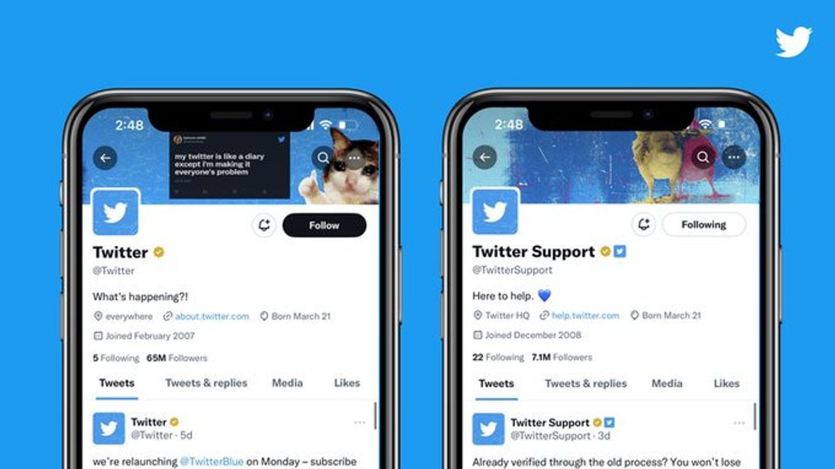 Elon Musk Kesulitan Dana, Twitter DisKon Langganan Twitter Blue untuk Tingkatkan Pendapatan