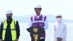 Telan Biaya Rp2,9 Triliun, Jokowi Minta Terminal Kijing Pelabuhan Pontianak Perkuat Daya Saing dan Konektivitas