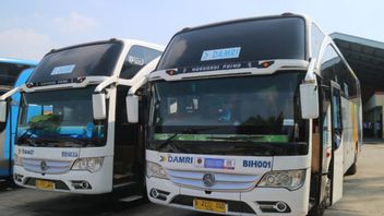 زيادة عدد ركاب حافلة دامري في مطار لومبوك قبل سباق موتو جي بي مانداليكا