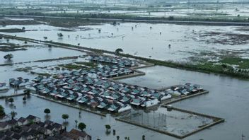 5.168 公顷的稻田在贝卡西摄政区受到洪水的影响