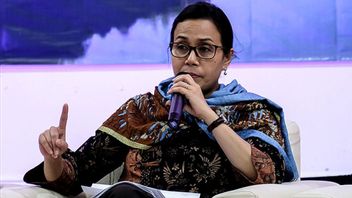 Pemerintah Berikan Insentif PPN DTP, Tiket Pesawat Ekonomi Domestik Dapat Diskon