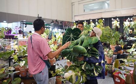 Terkumpul Rp137 Juta, Lelang Tanaman Hias dari Aroid hingga Aglaonema Warnai Kemeriahan FLOII Expo 2024