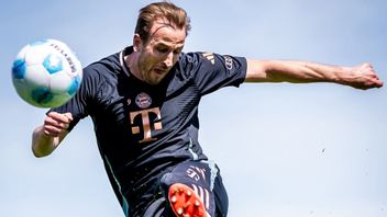 Kekeringan Trofi Harry Kane Berakhir Saat Bayern Munchen Menjuarai Bundesliga