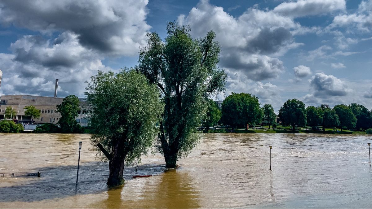 スペインのバレンシア鉄砲水による死者数は95人に跳ね上がった