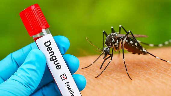 Kasus Dengue Masih Tinggi, Upaya Pencegahan Berbasis Komunitas Diperkuat