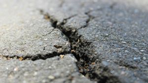 Ada Ratusan WNI di Prefektur Aomori yang Diguncang Gempa, KBRI Tokyo Imbau Pantau Situasi