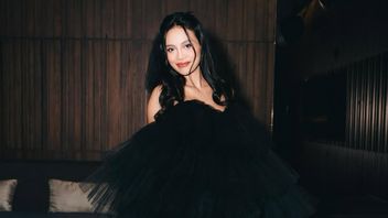 Investigators Are Still Investigating Erika Carlina's Report, DJ Panda Is Sure To Be Summoned Soon