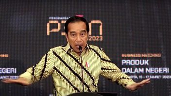 Daftar Tim Pemantau PPHAM yang Dibentuk Jokowi, Diketuai Sesmenkopolhukam