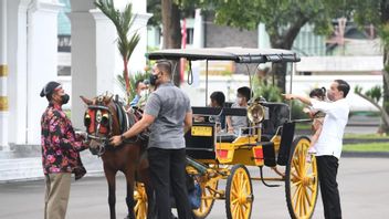 Having Fun Spending Time With Jan Ethes And His 2 Grandchildren, Jokowi Looks Relaxed In Flip-flops