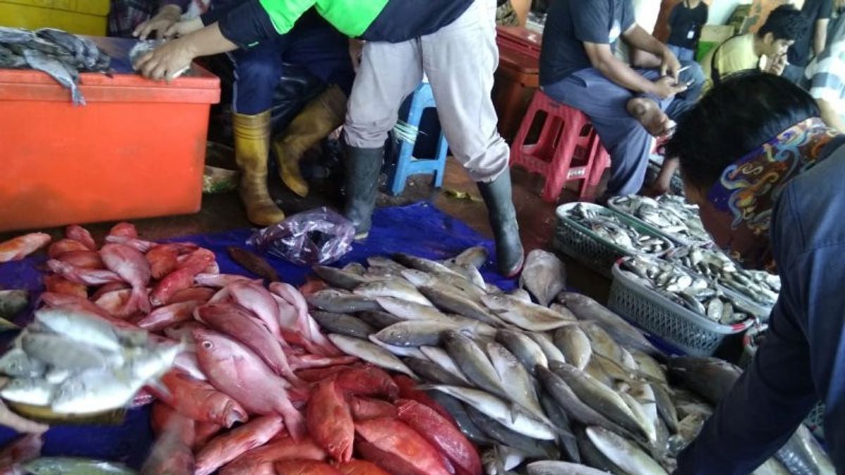 Hasil Tangkapan Nelayan di Makassar Melimpah, Harga Ikan Cenderung Murah