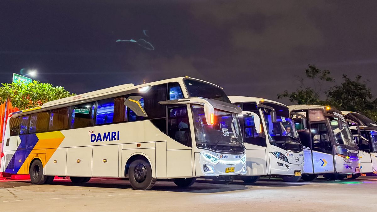 Welcoming Eid Al-Adha, Damri Gives IDR 45,000 Cuts For The Bogor Destination Route