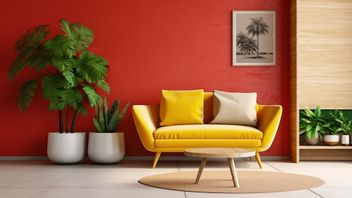 5 Home Decoration Items That Need To Be Considered Before Buying A New One
