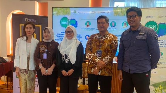 竹子是拯救生态系统的多功能植物