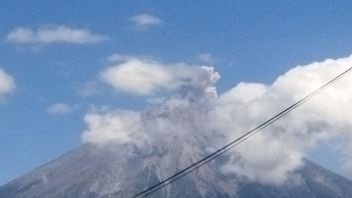 Mount Semeru Erupts Again With Eruption Colonium As High As 500 Meters