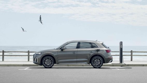 Audi Q5 PHEV Kena Recall di Australia, Ini Biang Masalahnya