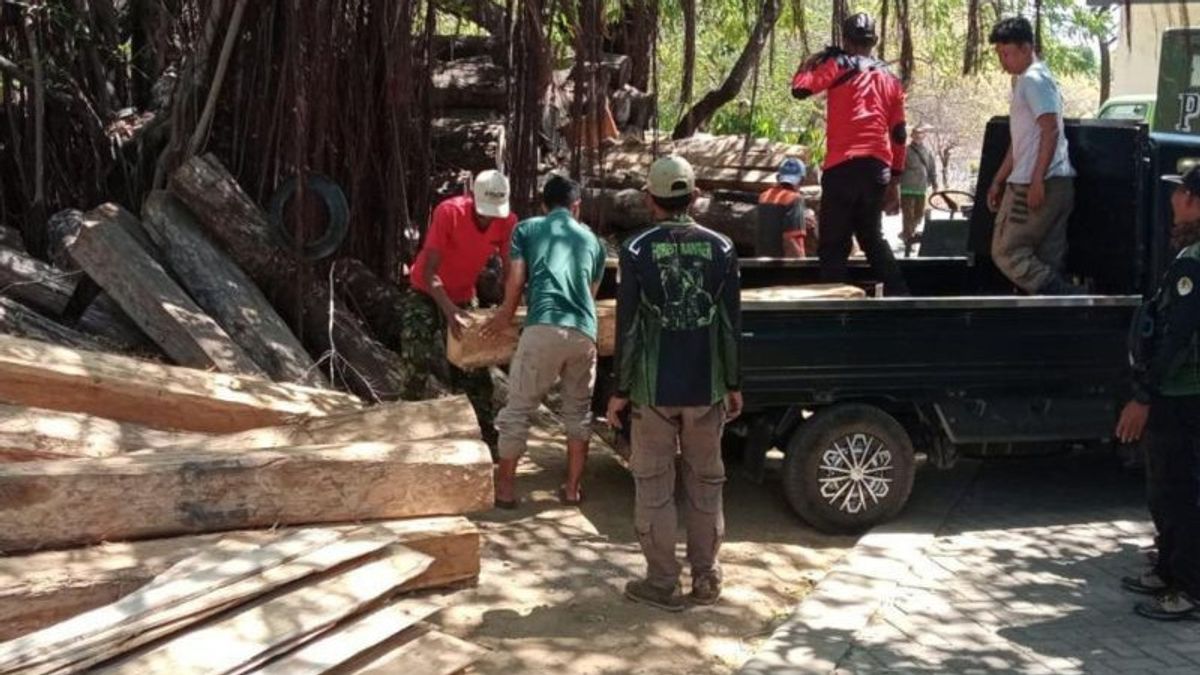 KLHK Secures 3 Perpetrators Of Illegal Logging Wood Processing In The Baluran National Park