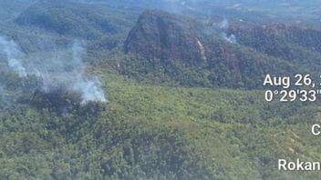 Sumber Air Jauh dan Akses Sulit, BPBD Riau Kerahkan 2 Helikopter Water Bombing Jinakan Api di Rokan Hulu