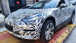 Tesla Hatchback Terbaru dengan Harga Murah, Siap Ungguli Pesaing