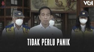VIDEO: Kasus Cacar Monyet di Indonesia, Jokowi: Tidak Perlu Panik