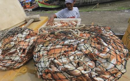 Periksa 20 Saksi, Kejagung Usut Dugaan Korupsi Ekspor Rajungan dan Daging PT Surveyor