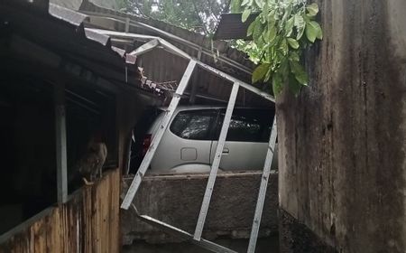 Warga Tangerang Laporkan Beberapa Pohon Tumbang Akibat Hujan dan Angin Kencang