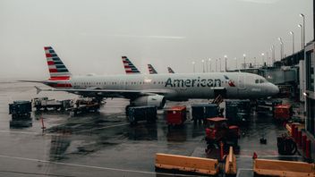 Tragedy Of Aircraft Collision At Reagan Airport Washington, American Airlines CEO Affirms Pilots Experienced