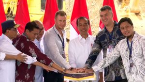 Jokowi Groundbreaking Proyek Hunian Magnum Resort di IKN, Nilai Investasi Rp300 Miliar