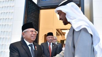 UAEの後、カイロがマルフ・アミン副大統領を訪問する番でした