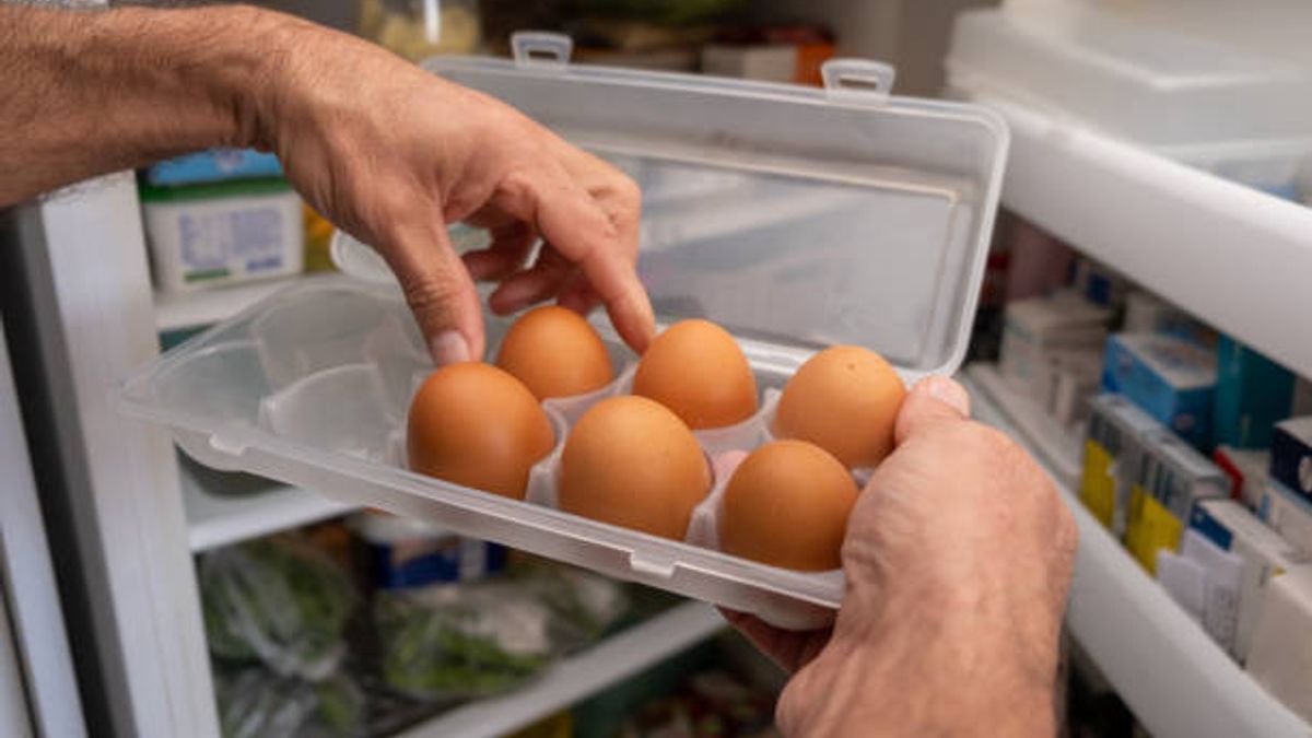 Berbagai Kesalahan Penyimpanan Telur yang Dilakukan Tanpa Sadar