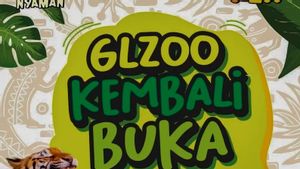 Berita Wisata: GL Zoo Yogyakarta Mulai Uji Coba Prokes Pembukaan Destinasi Wisata