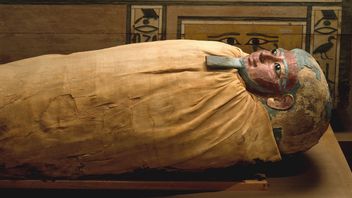Originally Perceived As Pastor, Researchers Surprised To Find Pregnant Woman's Mummy