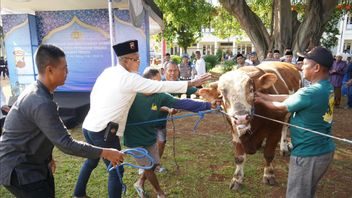 Polda Jateng Sembelih 808 Hewan Kurban, Salurkan Ribuan Paket Daging ke Warga