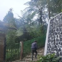 77 Pendaki Nekat Naik Gunung Gede Pangrango saat Ditutup Disanksi Minta Maaf Lewat Medsos Pribadi