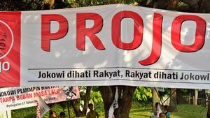 Kontroversi Projo: Gerakan Relawan yang Kecewa Jokowi Angkat Prabowo Jadi Menhan