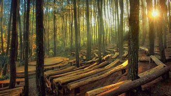 Ide Ngedate di Jogja Selain Nongkrong