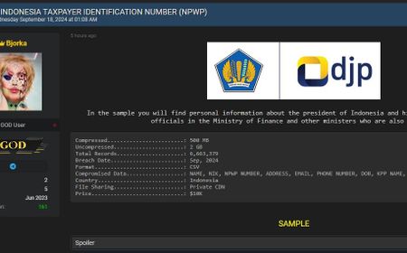 Rekam Jejak Hacker Bjorka: Dari Data Pemilih hingga Kebocoran Direktorat Jenderal Pajak