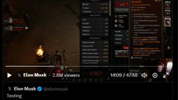 Platform X Test Streaming Video Game, Elon Musk Plays Diablo 4