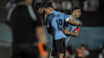 2026年世界杯预选赛Conmebol区:达尔文·努涅斯获胜乌拉圭演员