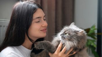獣医師によると、これらはお気に入りの猫の健康を維持するための7つの方法