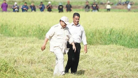 Le ministère cible de l’impression de 500 000 hectares de sawah dans le Kalimantan du Sud pour soutenir l’alimentation