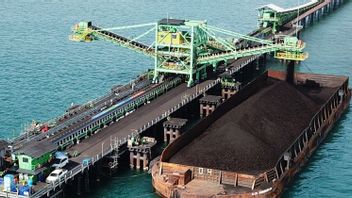 وزارة الطاقة والثروة المعدنية تعلن عن انخفاض سعر الفحم المرجعي إلى 319 دولار أمريكي للطن