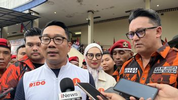 À partir de demain, les jeunes Pancasila en mouvement massif remportent Ridwan Kamil-Suswono