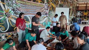 MMSGI-MHU Kembangkan Perkebunan Kakao Bersama Kelompok Tani Lalut Isau